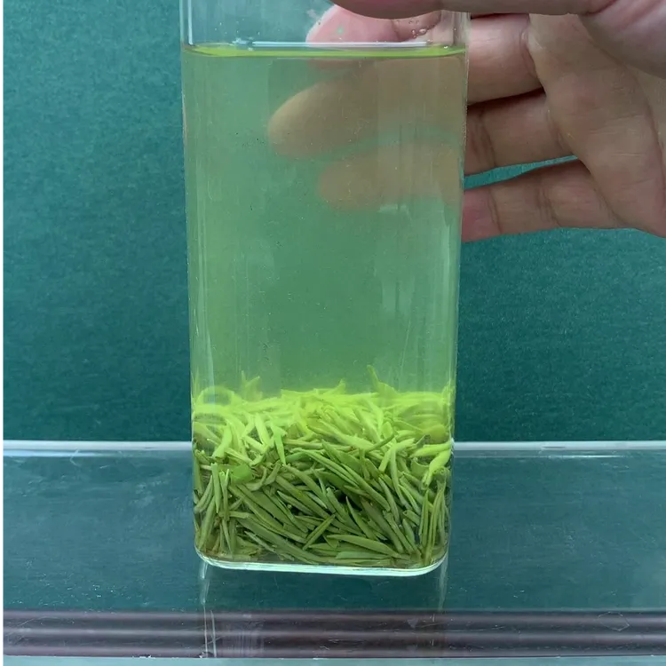  4# 明前精品小芽2025年新茶绿茶毛尖鲜爽甘甜花香高山茶