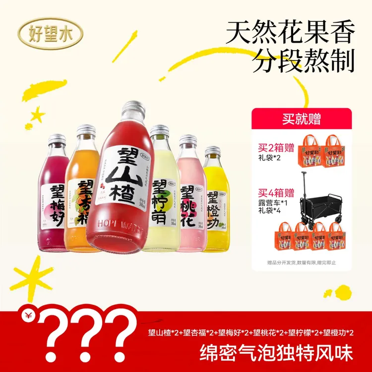 【限定首发】望山楂新年礼盒全家福六种混合口味送露营车