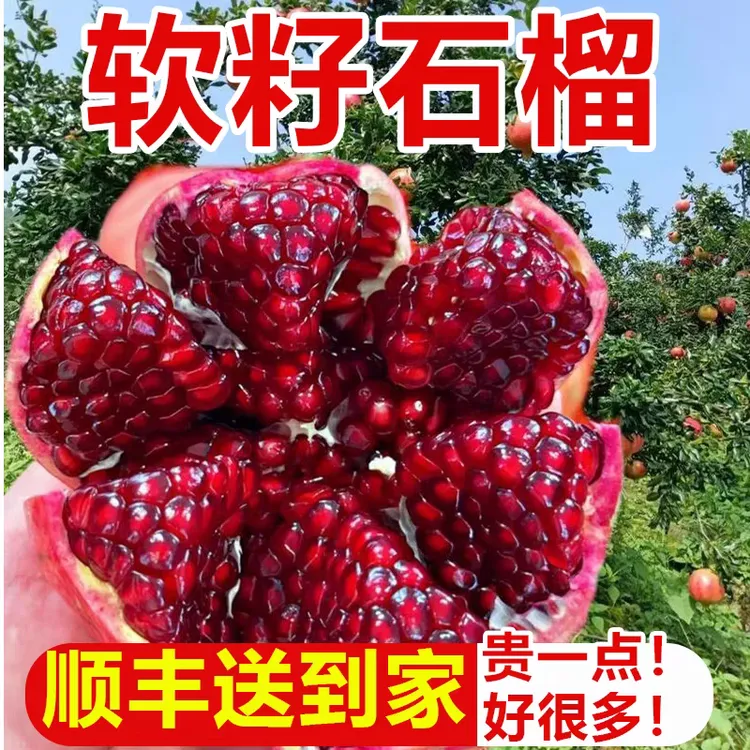 【顺丰发货】现摘水果 正宗四川会理软籽石榴 免吐籽爆汁 坏果包赔