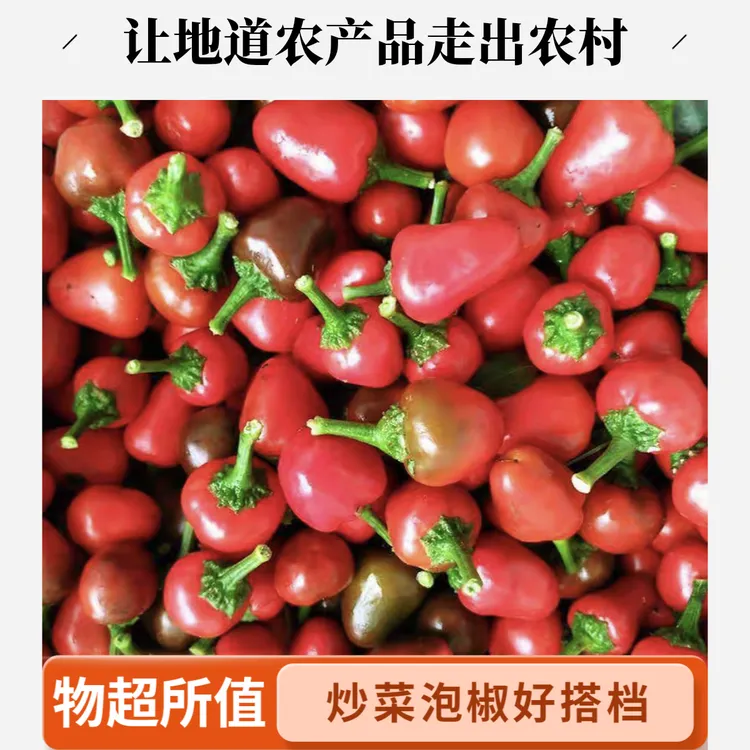 （农村自种）草莓椒新鲜现摘现发
