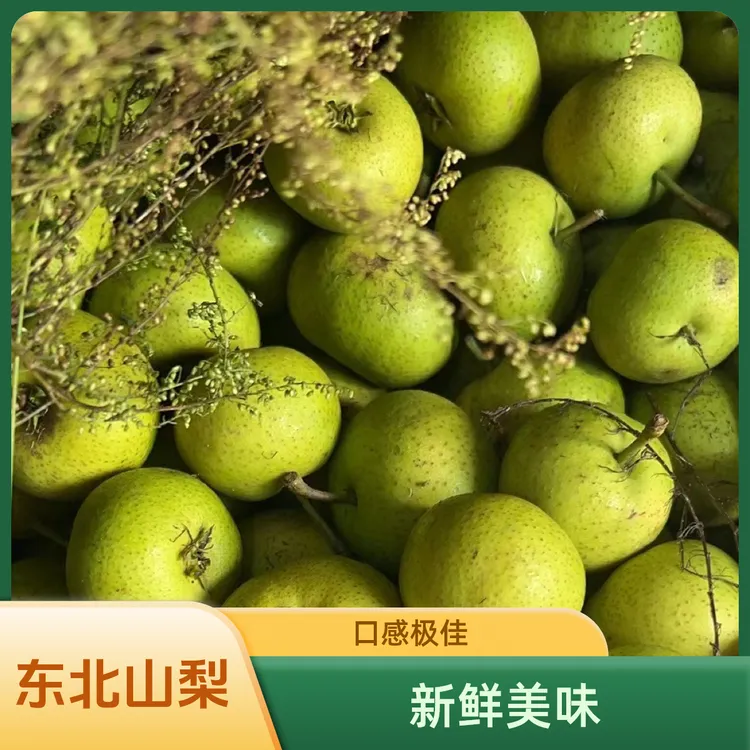 东北原生态山梨酸甜可口多规格可选