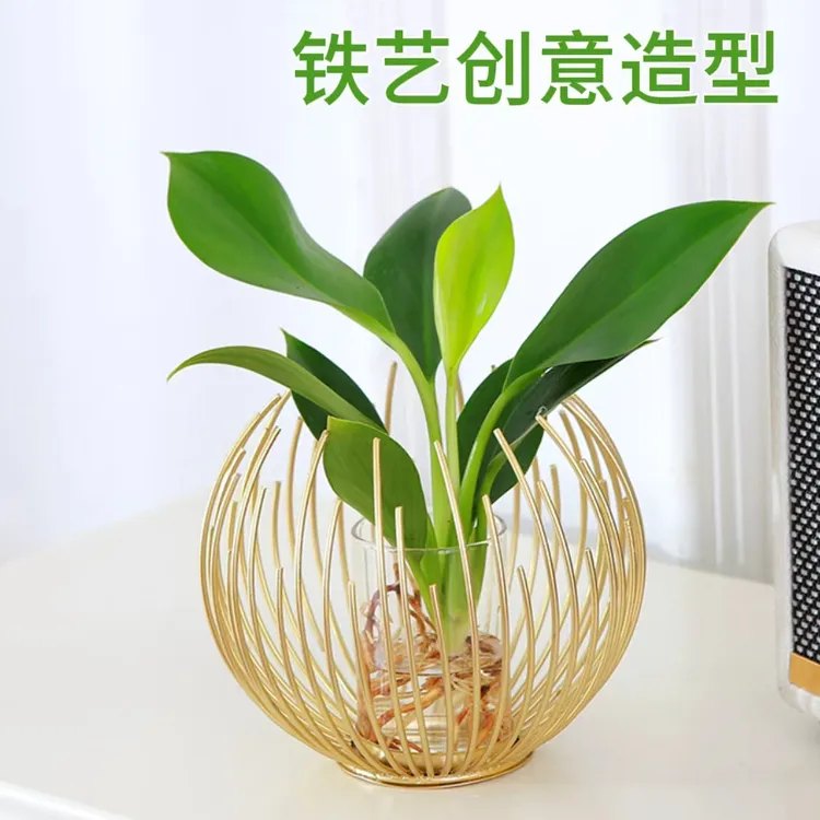 铁艺水培办公室内室内桌面净化空气吸家庭日用置物架多层收纳箱