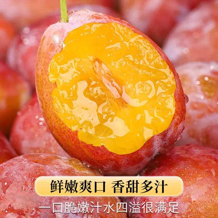 [京东冷链]新疆法兰西西梅酸甜可口正宗产地直发时令水果