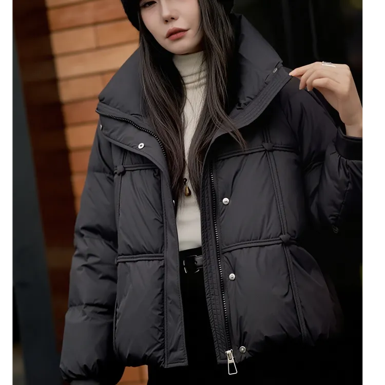 01# 6806款时尚百搭立领短款极简轻奢冬季保暖鹅鹅服