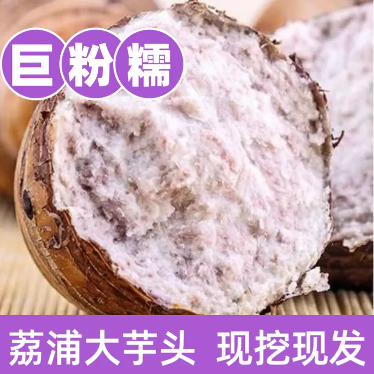 广西荔浦新鲜现挖大芋头粉香软糯荔浦新鲜香芋大果正宗蔬菜毛芋头