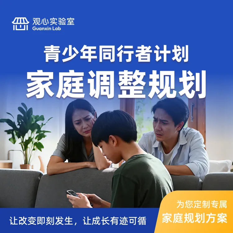 （家长学习）青少年同行者计划家庭调整规划知识服务-B商品图