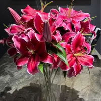 【一品花集】高级感【黑美人】单瓣百合花 云南昆明基地直发家用鲜花