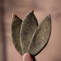 【化州橘红】正宗化州橘红皮老树广东的凉茶150g五年陈化