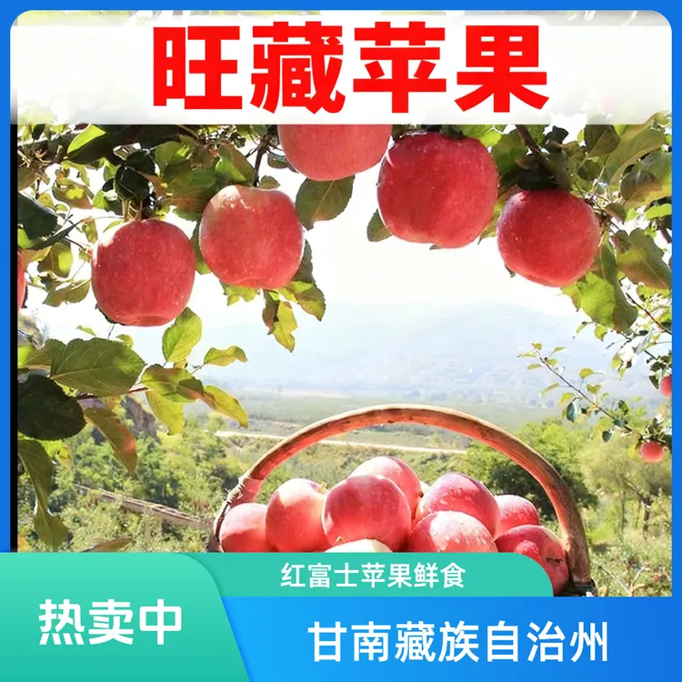 迭部旺藏红富士苹果红苹果10斤（十斤装）产地直发新鲜脆甜冰糖心
