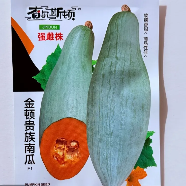 金贵族南瓜种子强雌沙粉糯甜板栗味丑南瓜蛋黄老南瓜种子