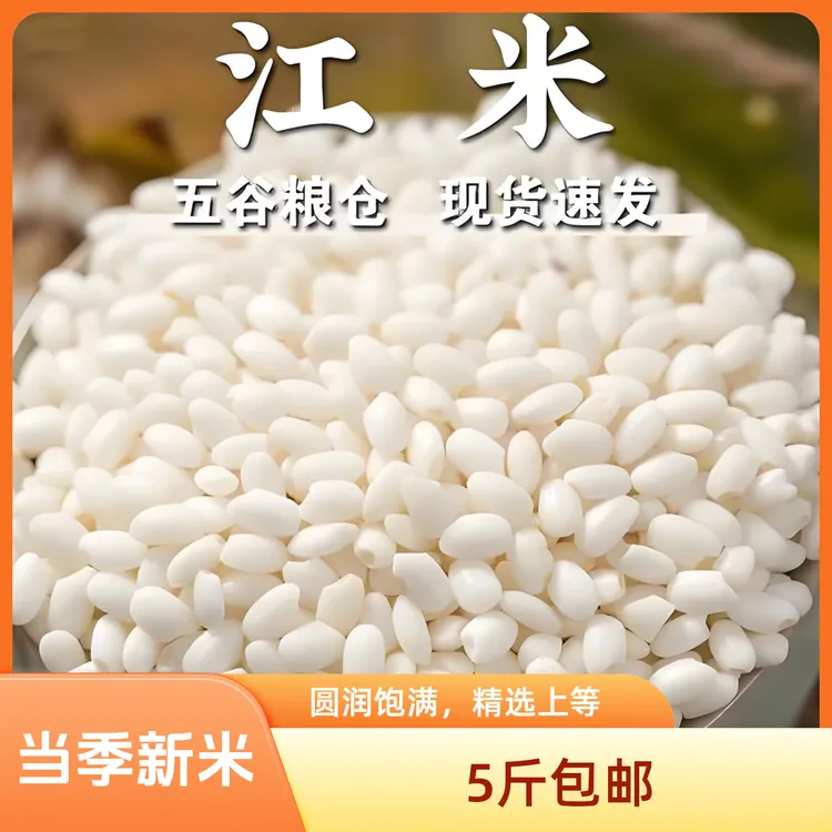 【抢5斤包邮】正宗东北江米糯米圆粒包粽子八宝粥酿酒产地直发