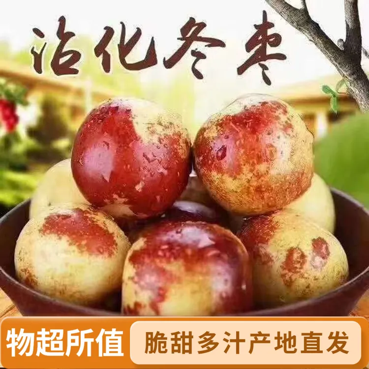 正宗自家果园沾化冬枣新鲜大枣现摘现发新鲜脆甜多汁尝鲜特惠