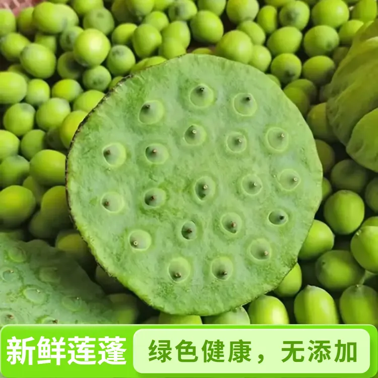 新鲜莲蓬应季嫩甜生吃现摘孕妇莲蓬新鲜生吃现摘嫩莲子
