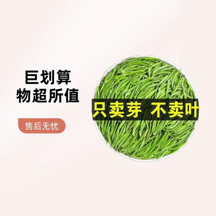 雀舌湄潭翠芽毛尖毛峰日照浓香耐泡炒青#口粮茶