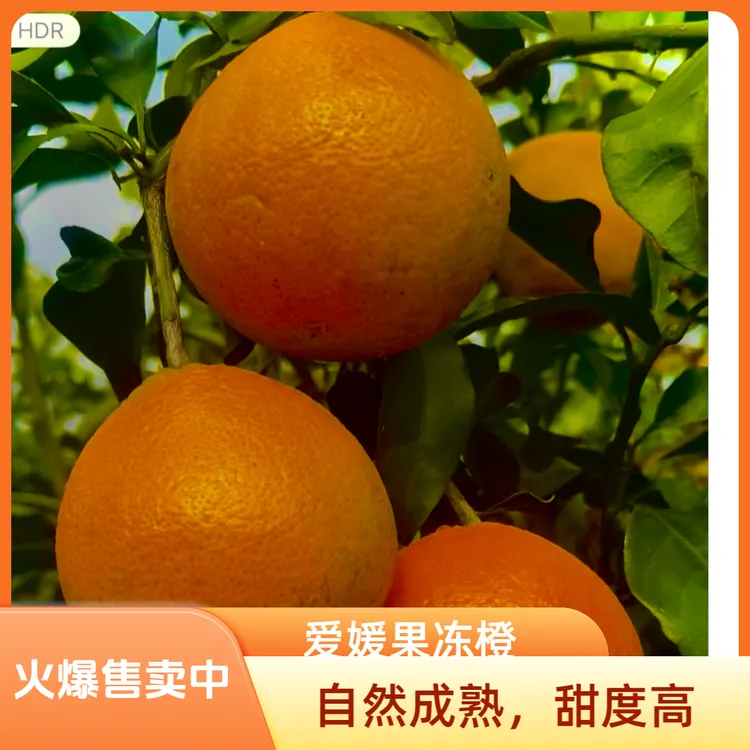 （助力三农）精品正宗爱媛果冻橙自然成熟新鲜采摘皮薄多汁甜蜜化渣
