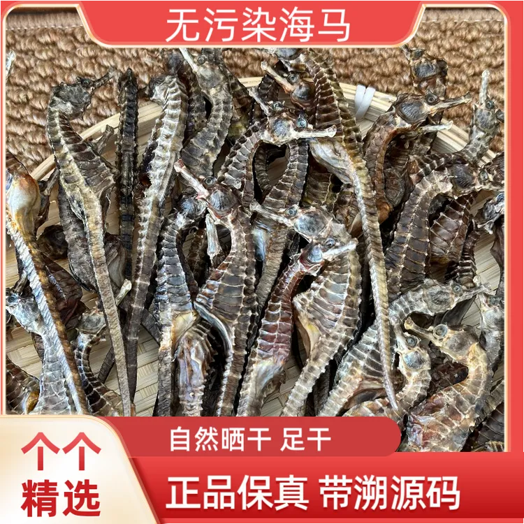 海干货海馬泡酒煲汤带溯源码海马泡酒专用