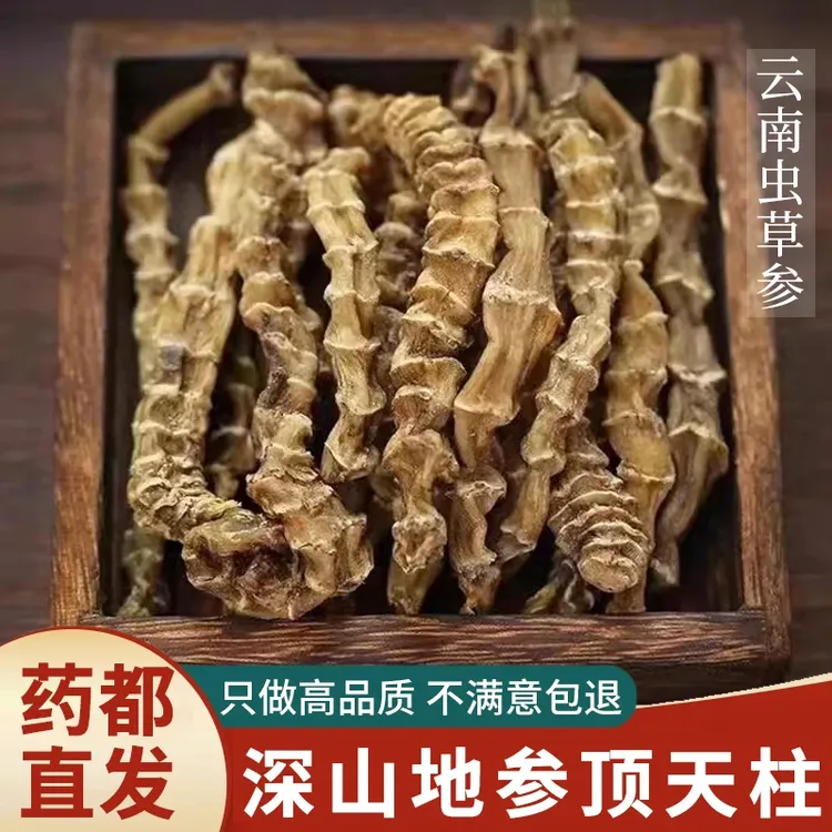 【保真】云南深山虫草参干货正宗地参顶天柱新货散装煲汤泡酒原材料