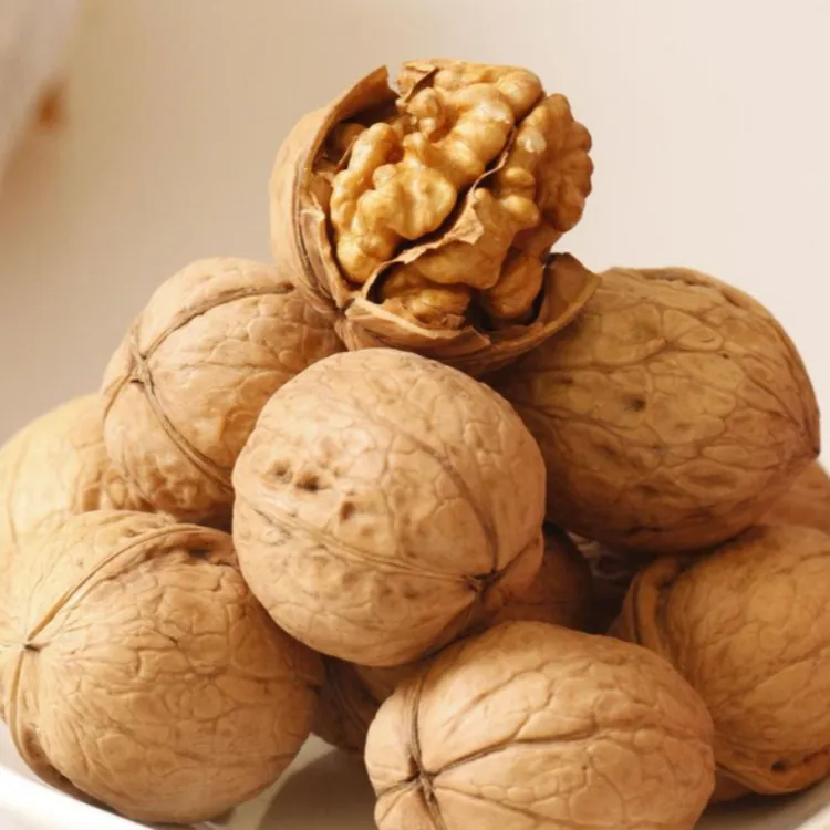 核桃树苗嫁接8518核桃 薄壳纸皮核桃树苗 盆栽地栽 3年苗买一送一