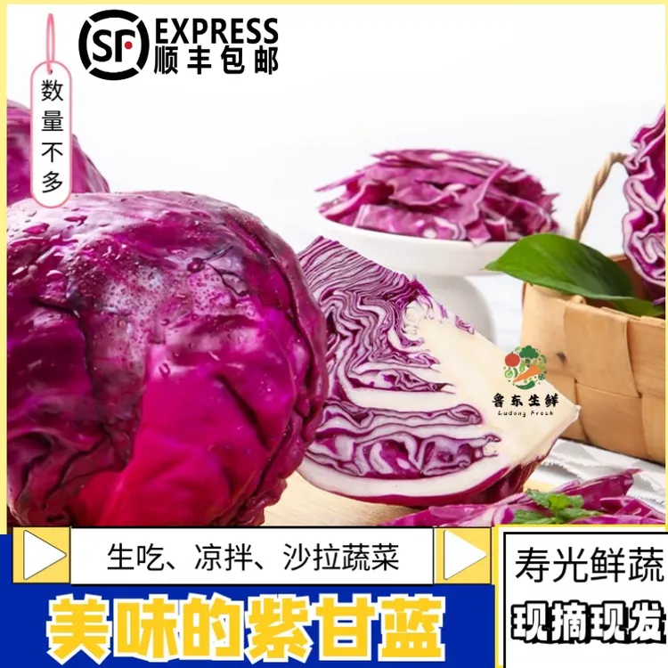 【农家蔬菜】紫甘蓝菜现摘沙拉菜紫椰菜紫包菜紫卷心菜即食自然熟