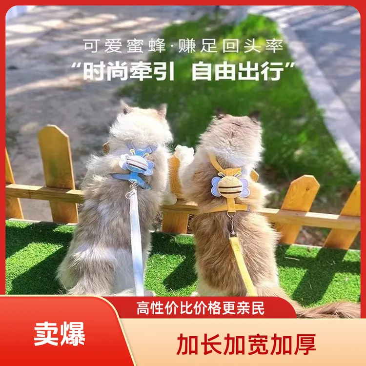 猫咪牵引绳外出专用结实绳溜猫链子胸背带链牵引绳太空舱狗窝