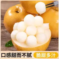 秋月梨山东莱阳新鲜水果现摘现发正宗冰糖梨子当季时令整箱