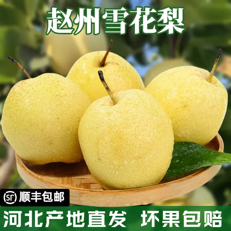 顺丰包邮正宗冰糖雪梨赵州雪花梨新鲜维c水果梨子鲜甜脆当季大果