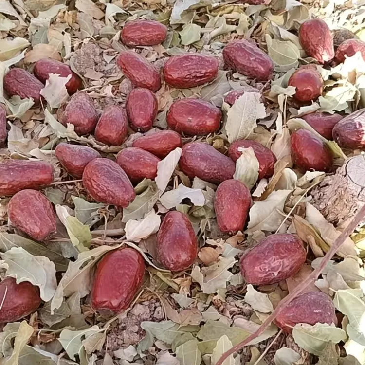 新疆和田大枣正宗新疆大枣2025新货自然吊干特级果王混装