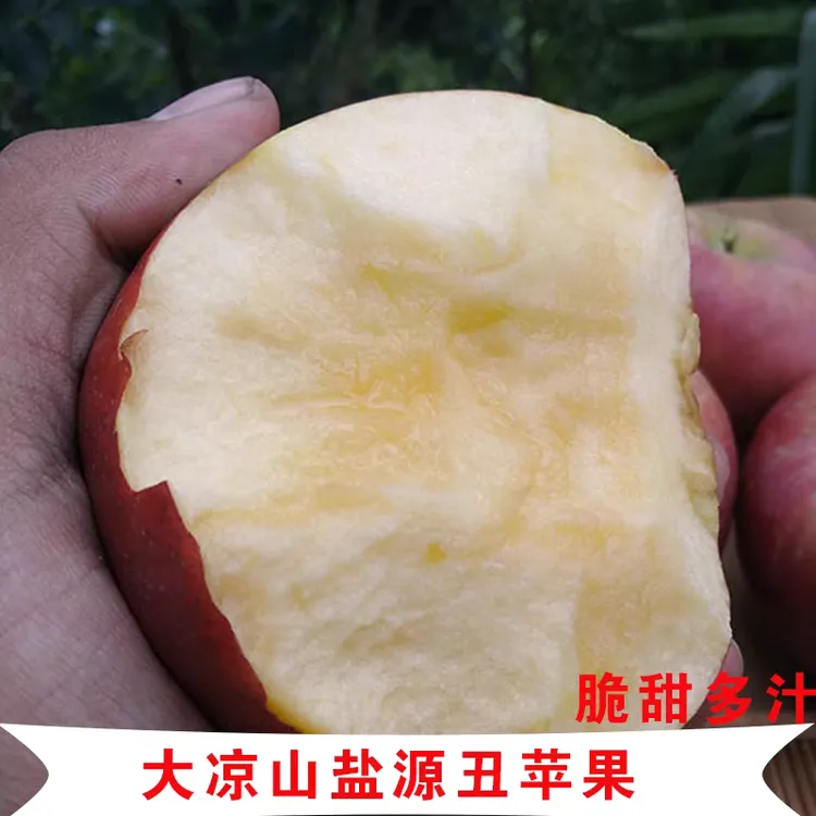 盐源中熟红将军苹果