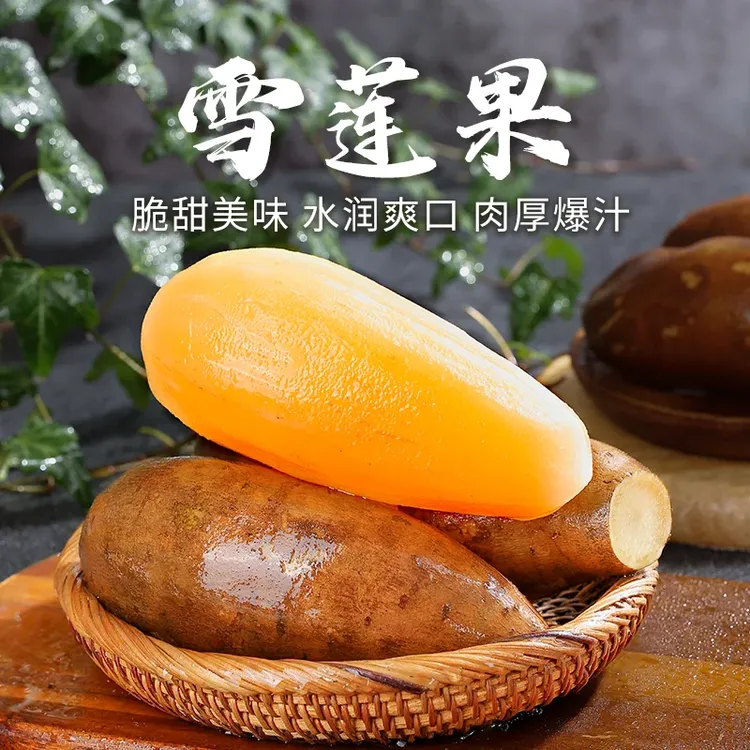 自然搭档 ·云南天山黄心雪莲果新鲜现挖清甜脆爽多汁应季低糖水果