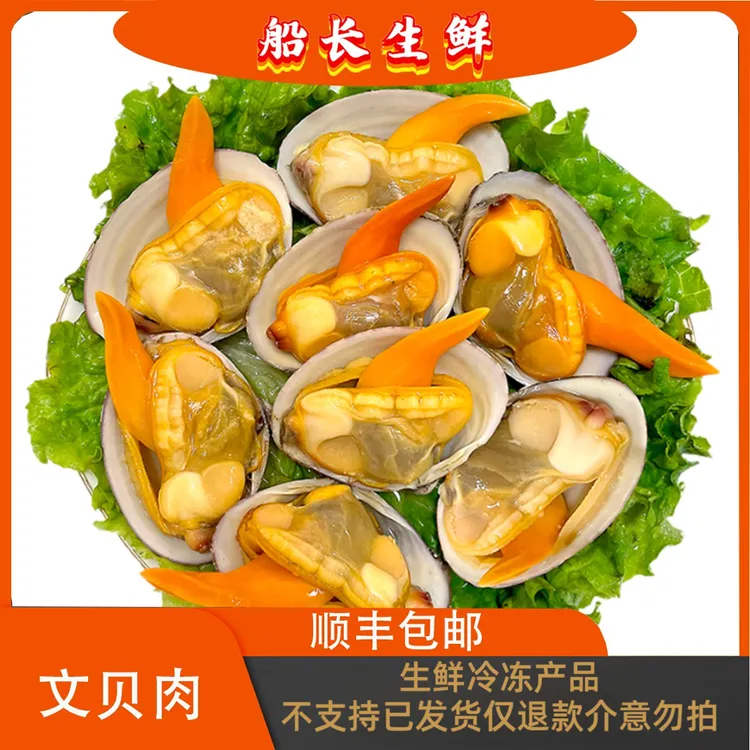 【船长生鲜】冷冻丹东东港大文贝肉鲜美500克/整包