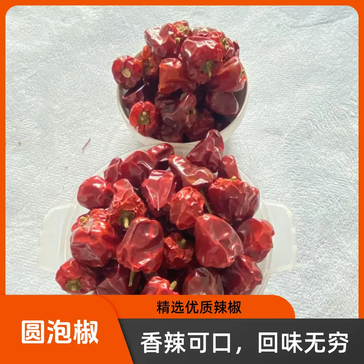 圆泡椒灯笼椒香辣味鲜贵州特产农家干辣椒自然晒干特香优质红海椒