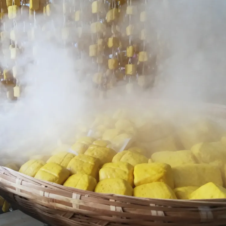 云南特产宣威倘塘黄豆腐手工正宗品质