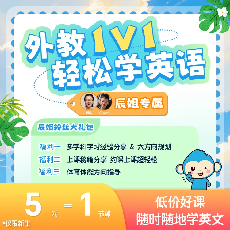 【辰姐专属】【1节外教课+视频课】一对一真人外教在线英语