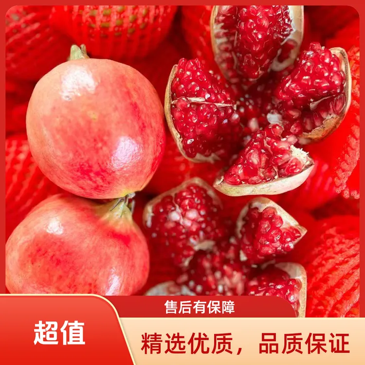 【洗车姐专属】优选四川会理软籽石榴新鲜当季水果爆汁石榴鲜甜多汁