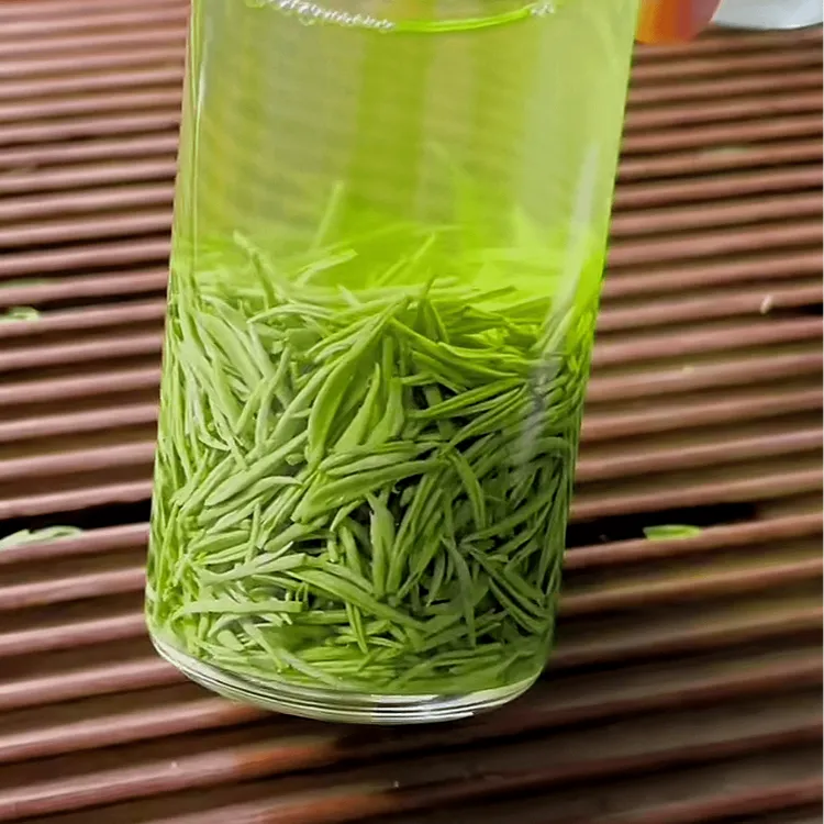 2025新茶正宗信阳毛尖特级茶叶绿茶50g250g500g 嫩芽嫩叶送礼