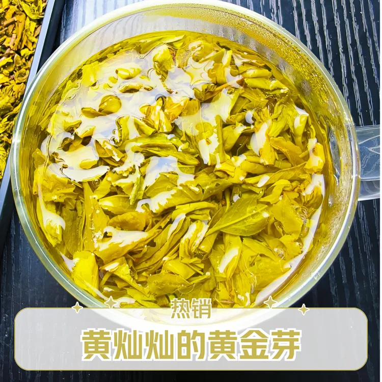 2025年手工黄金芽碎片新茶口粮茶黄金芽浓香耐泡茶叶板栗香好喝