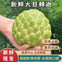 海南当季新鲜采摘大目释迦果番荔枝（冷链送货上门）