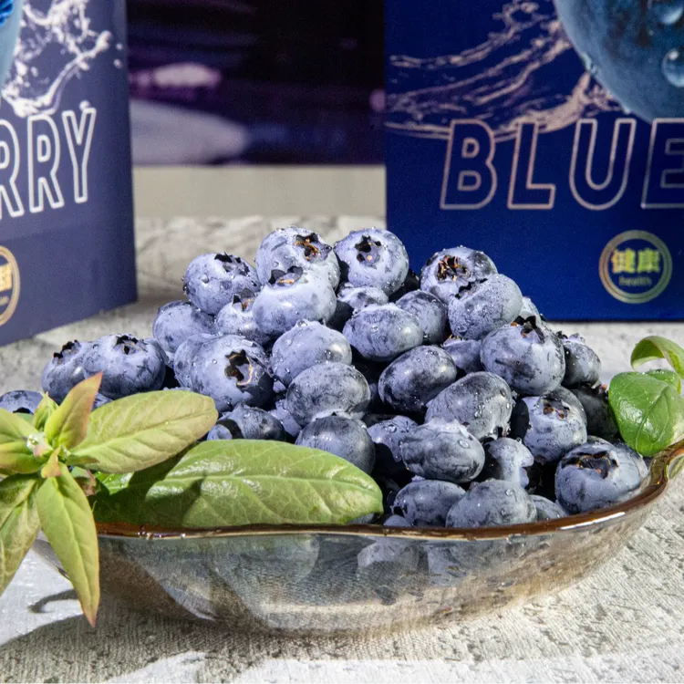 螺髻雪山泉水灌溉“螺髻莓香” 高品质蓝莓 高档礼盒包装