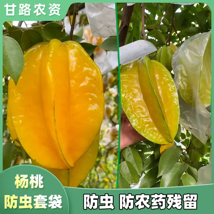 杨桃袋百香果袋大青枣套袋番石榴套袋水果套袋防虫防农药残留