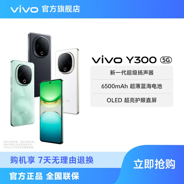 vivo Y300 智能手机 12GB运存 超强外放超长续航