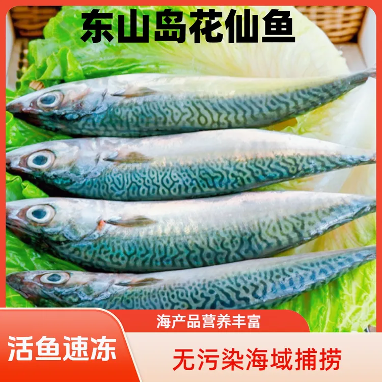 东山岛花仙鱼干青占鱼挪威青花鱼新鲜海鱼石斑鱼深海马友鱼红鲳鱼