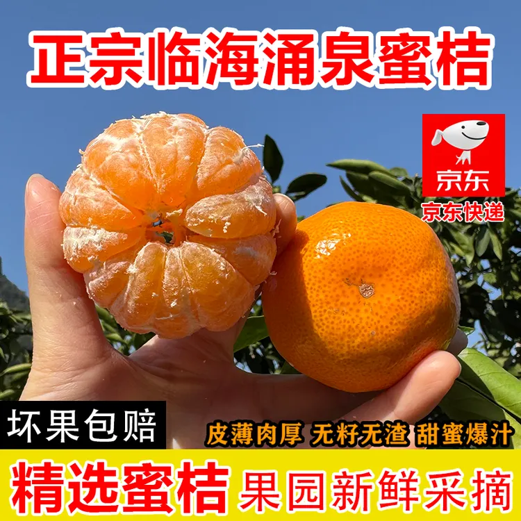 【实惠大果】涌泉蜜桔正宗原产地临海蜜桔新鲜采摘皮薄无核蜜桔橘子