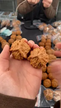 【闪购商品】文玩核桃把件盘山奔38-x477