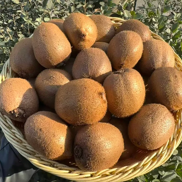 精品大果即食陕西徐香猕猴桃奇异果新鲜采摘香甜微酸产地直发包邮