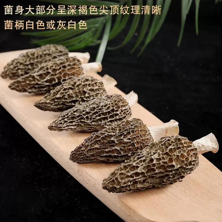 【苗乡绿源】当季头茬精品羊肚菌大个肉厚肥美干货煲汤包食材5-7