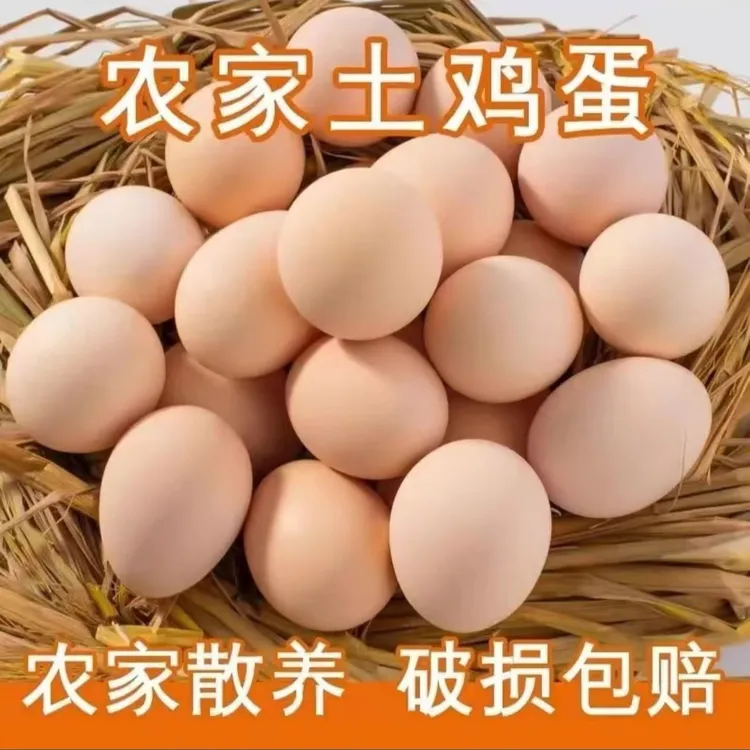  50枚农村散养土鸡蛋40-45g新鲜鸡蛋农家笨鸡蛋 现捡现发破损包赔