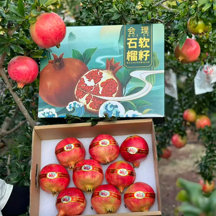 【顺丰包邮＋精品礼盒＋商超品质】四川会理突尼斯软籽石榴现摘现发