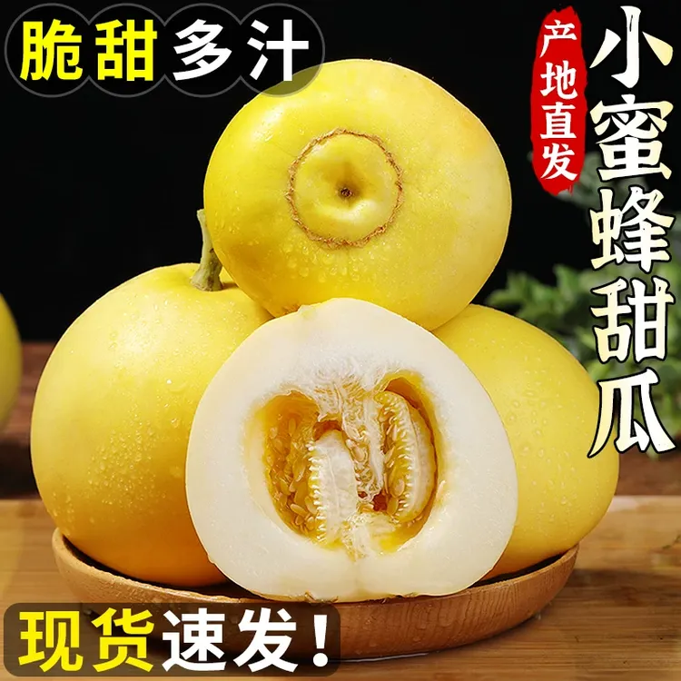 山东小蜜蜂甜瓜【大果5斤】新鲜水果当季时令水果星甜20小蜜瓜