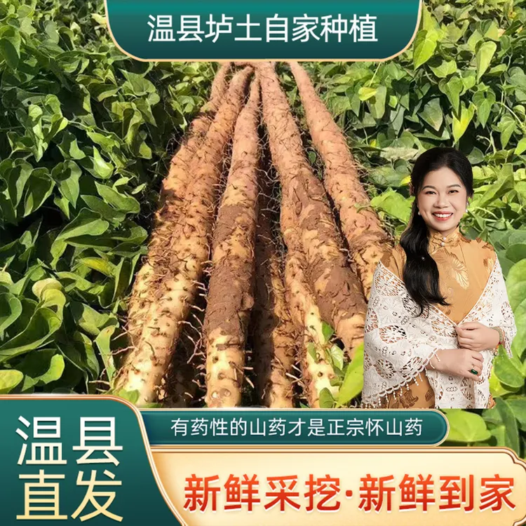 【凡奶奶专属】温县垆土铁棍怀山药新鲜现挖香甜粉糯净重五斤