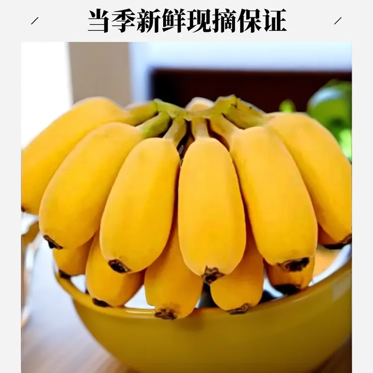 道苹果蕉现摘果清甜软糯青广东湛江蕉当季新鲜水果适合孕妇食粉蕉